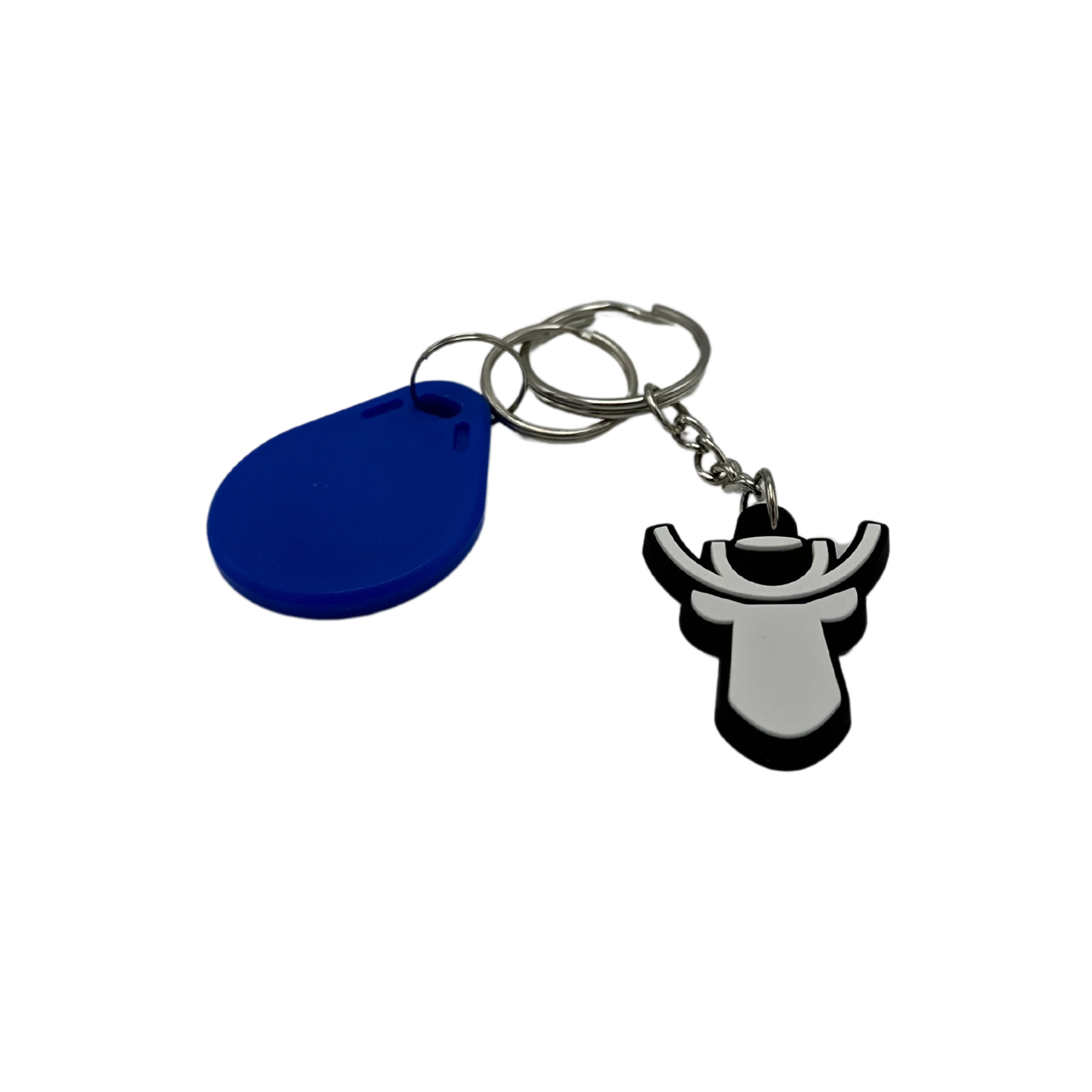 RFID key fob  (full access) incl key chain
